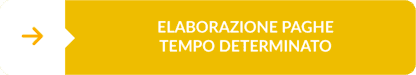 bottone elaborazione paghe a tempo determinato